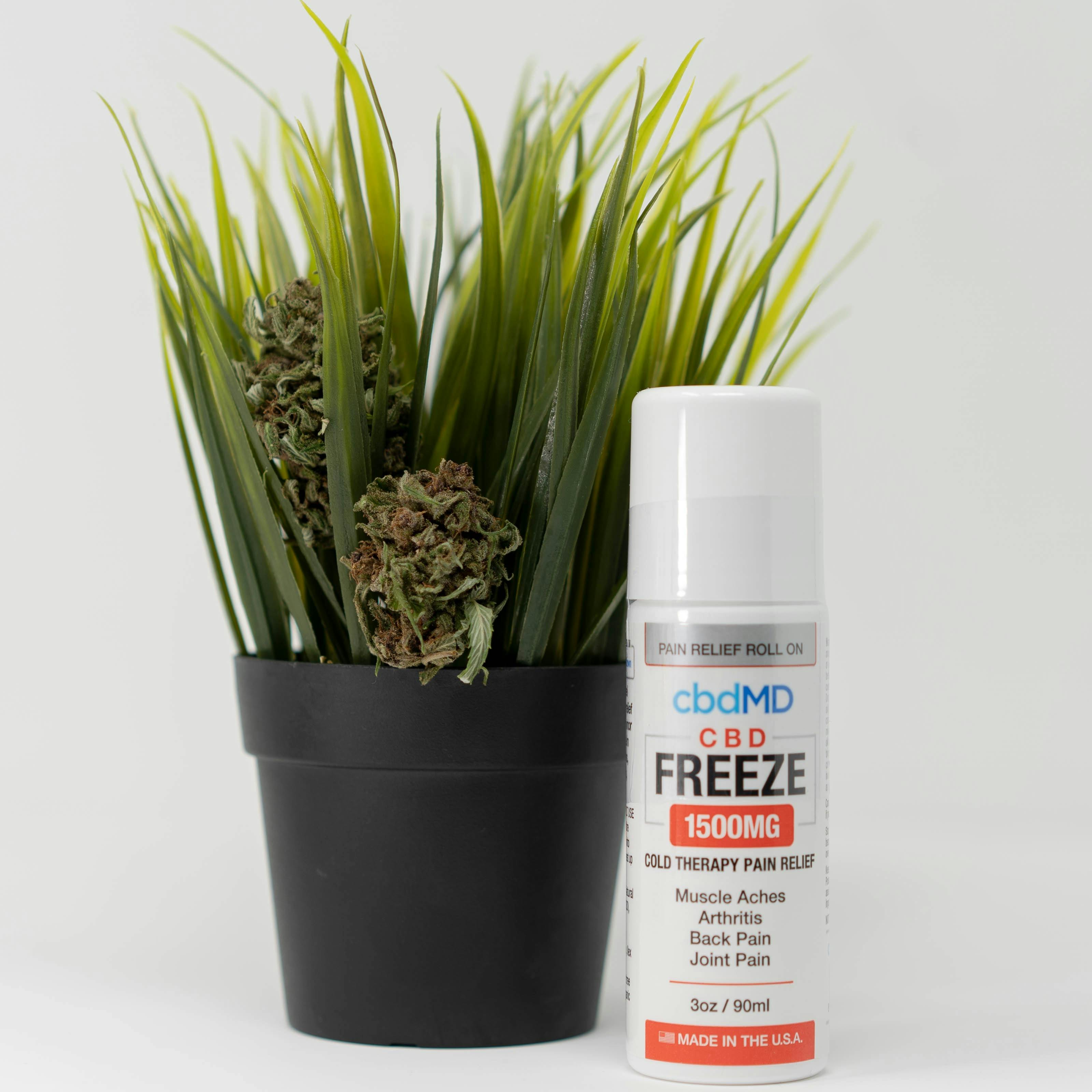 1500mg Freeze Roller